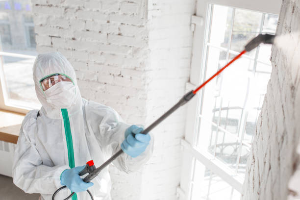 Best Biohazard Mold Removal  in Hanover, PA