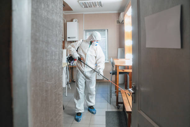 Best Airborne Mold Testing  in Hanover, PA
