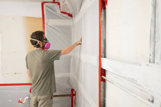 Best Comprehensive Air Testing for Mold Contaminants  in Hanover, PA