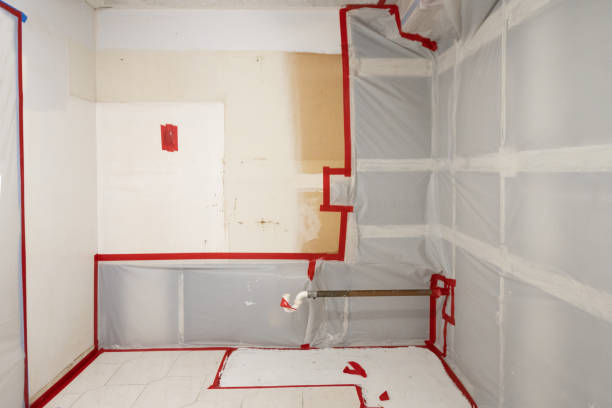 Best Forensic Mold Investigation  in Hanover, PA