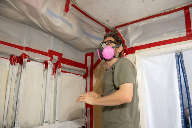 Reliable Hanover, PA Mold Removal Solutions