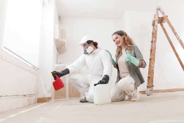 Best Mold Remediation for Healthcare Facilities  in Hanover, PA